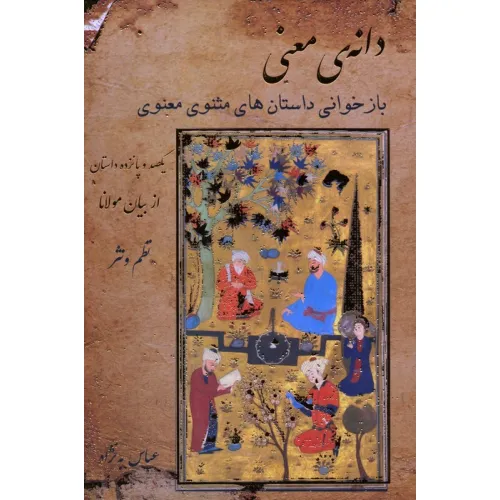 کتاب دانه ی معنی (بازخوانی داستان های مثنوی معنوی)