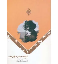 کتاب شاخصه های عرفان کاذب کتاب شاخصه های عرفان کاذب