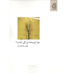 کتاب چرا نویسنده بزرگی نشدم؟