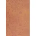 کتاب کلیات شمس تبریزی {کاشی دار}،(برجسته،باقاب)