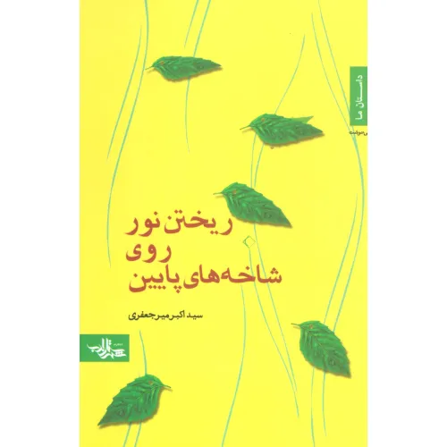 کتاب ریختن نور روی شاخه های پایین (داستان ما،رمان ایرانی19)