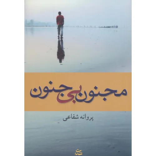 کتاب مجنون بی جنون