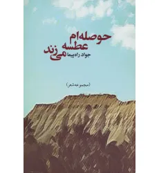 کتاب حوصله ام عطسه می زند (مجموعه شعر) کتاب حوصله ام عطسه می زند (مجموعه شعر)