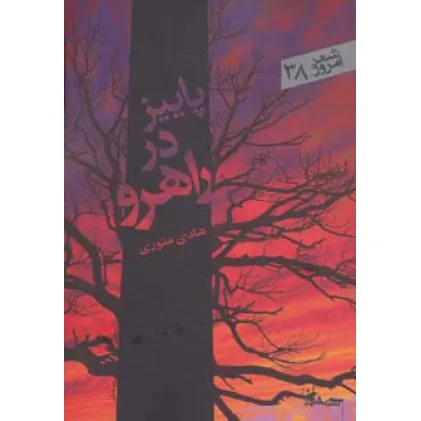 کتاب پاییز در راهرو (شعر امروز38)