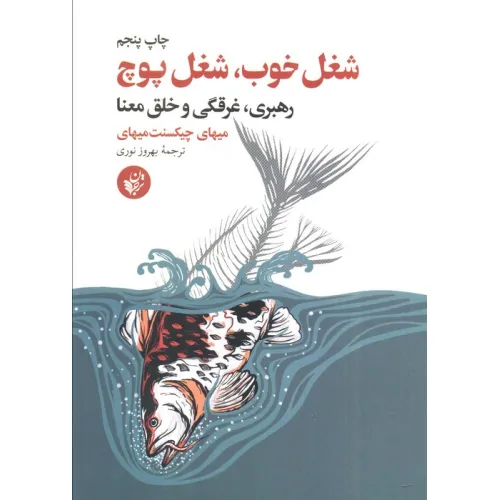 کتاب شغل خوب،شغل پوچ (رهبری،غرقگی و خلق معنا)