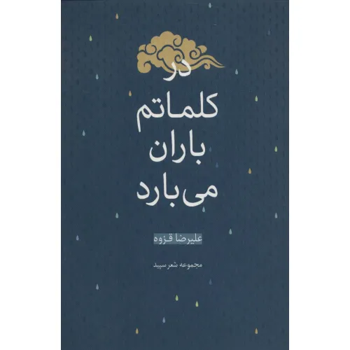 کتاب در کلماتم باران می بارد