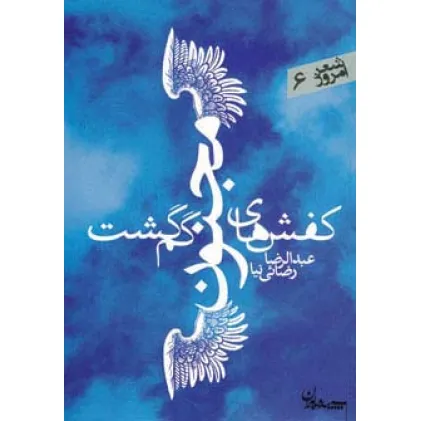 کتاب کفش های مجنون گم گشت (شعر امروز 6)