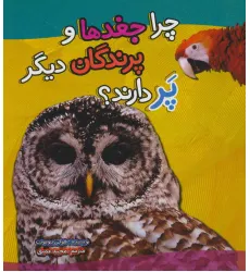 کتاب چرا جغدها و پرندگان دیگر پر دارند؟ (گلاسه)