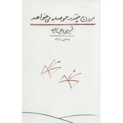دفتر شعر نو 1 (مردن چقدر حوصله می خواهد:نیمایی و ترانه)