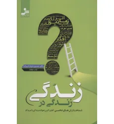 کتاب زندگی در زندگی (شناخت ارزش های شخصی،آغاز بزرگترین تحولات در زندگی و کسب و کار)