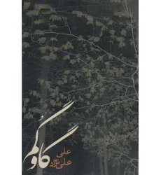 کتاب گاو گم