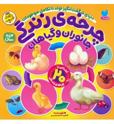 کتاب چرخه ی زندگی جانوران و گیاهان (دنیای شگفت انگیز تولد تا تکامل موجودات) کتاب چرخه ی زندگی جانوران و گیاهان (دنیای شگفت انگیز تولد تا تکامل موجودات)