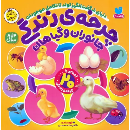کتاب چرخه ی زندگی جانوران و گیاهان (دنیای شگفت انگیز تولد تا تکامل موجودات)