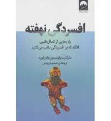 کتاب افسردگی نهفته (راه رهایی از کمال طلبی آنگاه که بر افسردگی نقاب می کشد)