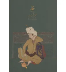کتاب شرح شکن زلف،بر حواشی دیوان حافظ