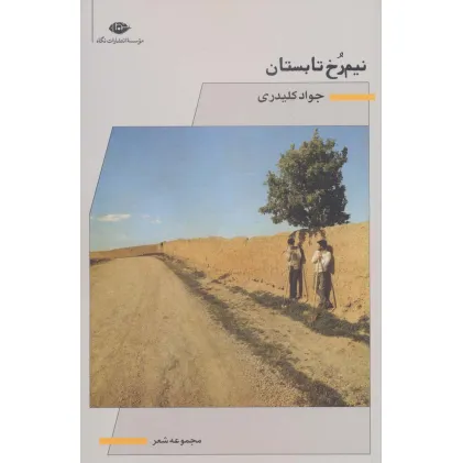 کتاب نیم رخ تابستان (مجموعه شعر)