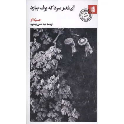 کتاب آن قدر سرد که برف ببارد