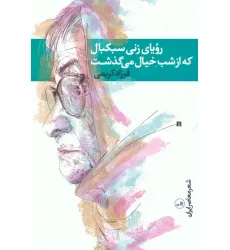 کتاب رویای زنی سبکبال که از شب خیال می گذشت کتاب رویای زنی سبکبال که از شب خیال می گذشت