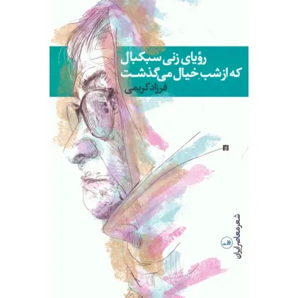 کتاب رویای زنی سبکبال که از شب خیال می گذشت