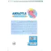 کتاب رنگ آمیزی فانتزی (طرح AXOLOTLS،کد 1408)،(سیمی)