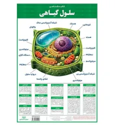 کتاب پوستر وایت بردی کالبد شناسی سلول گیاهی