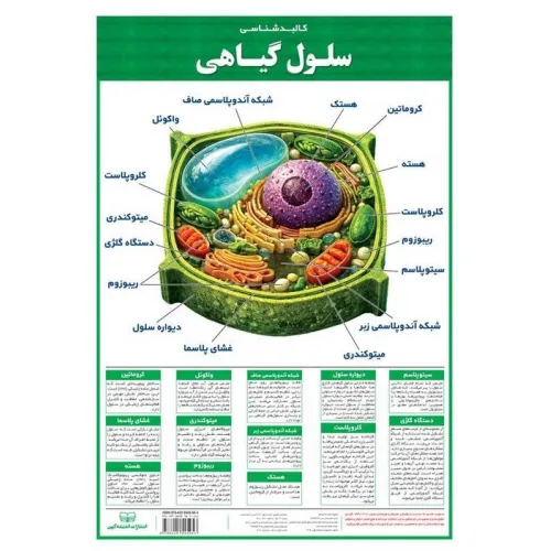 کتاب پوستر وایت بردی کالبد شناسی سلول گیاهی