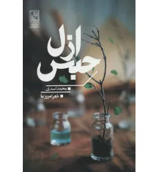 کتاب حبس ازل (شعر امروز ما)