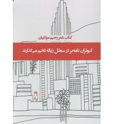 کتاب کبوتران نامه بر در سطل زباله تخم می گذارند (کتاب شعر) کتاب کبوتران نامه بر در سطل زباله تخم می گذارند (کتاب شعر)