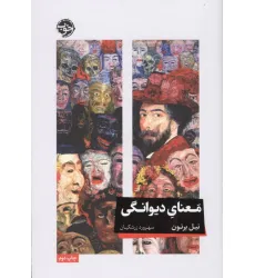 کتاب معنای دیوانگی