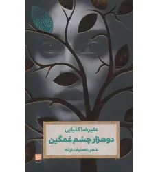 کتاب دو هزار چشم غمگین (شعر،تصنیف،ترانه)
