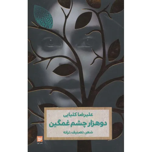 کتاب دو هزار چشم غمگین (شعر،تصنیف،ترانه)