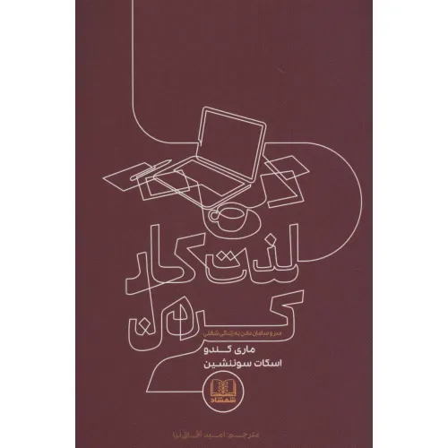 کتاب لذت کار کردن (سر و سامان دادن به زندگی شغلی)