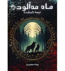 کتاب ماه مه آلود 3 (نیمه گمشده) کتاب ماه مه آلود 3 (نیمه گمشده)