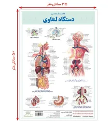 کتاب پوستر کالبد شناسی دستگاه لنفاوی 50*35 (گلاسه،باجعبه)
