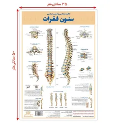کتاب پوستر کالبد شناسی و آسیب شناسی ستون فقرات 50*35 (گلاسه،باجعبه)