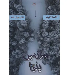 کتاب سرزمین یخی