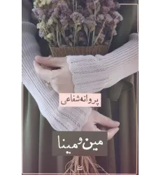 کتاب مین و مینا