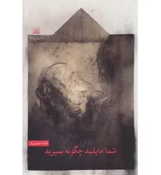 کتاب شما مایلید چگونه بمیرید (داستان ما 4)