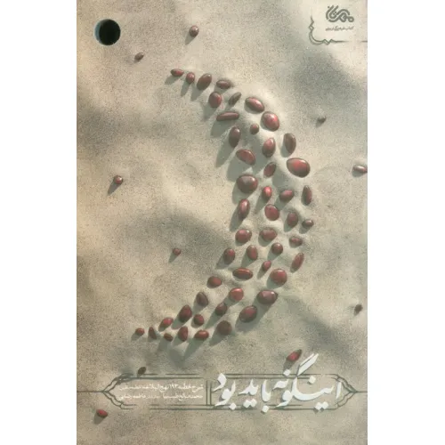 کتاب اینگونه باید بود (شرح خطبه 193 نهج البلاغه)