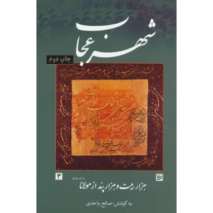 کتاب شهر عجاب (هزار بیت و هزار پند از مولانا)