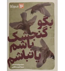 کتاب بگو گنجشک باشم یا نباشم (شعر شباب29)