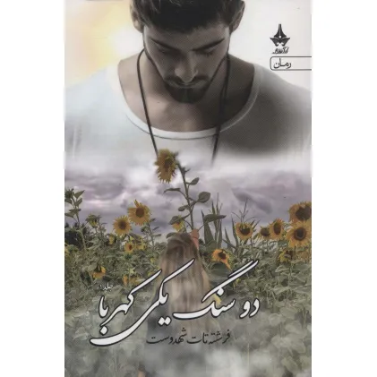 کتاب دو سنگ یکی کهربا (2جلدی)