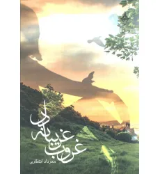 کتاب غروب غریبانه دل
