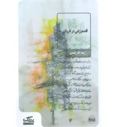 کتاب قدم زدن در تاریکی