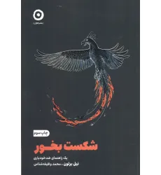 کتاب شکست بخور (یک راهنمای ضد خودیاری)