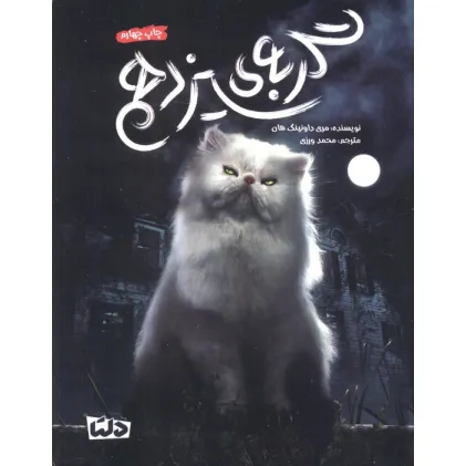 کتاب گربه ی سیزدهم