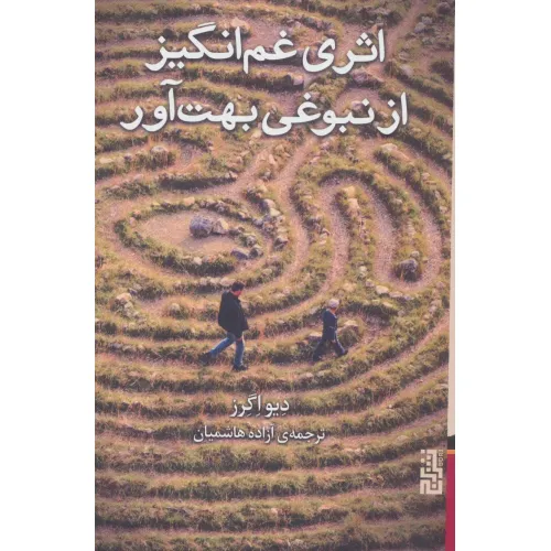 کتاب اثری غم انگیز از نبوغی بهت آور