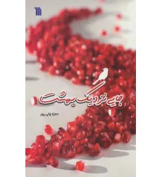 کتاب جایی نزدیک بهشت کتاب جایی نزدیک بهشت