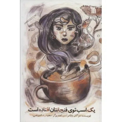کتاب یک اسب در فنجانتان افتاده است