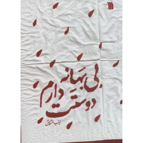کتاب بی بهانه دوستت دارم